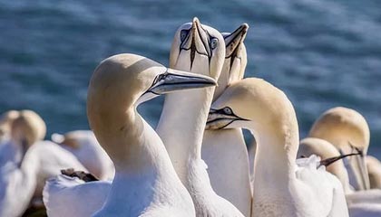 爱游戏平台-斯密斯：在战术调整中贡献巨大，带领全黑队迎接新挑战，sime斯密