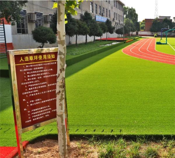 乡村足球场品质提升工程全面铺开，建设惠民体育基础设施