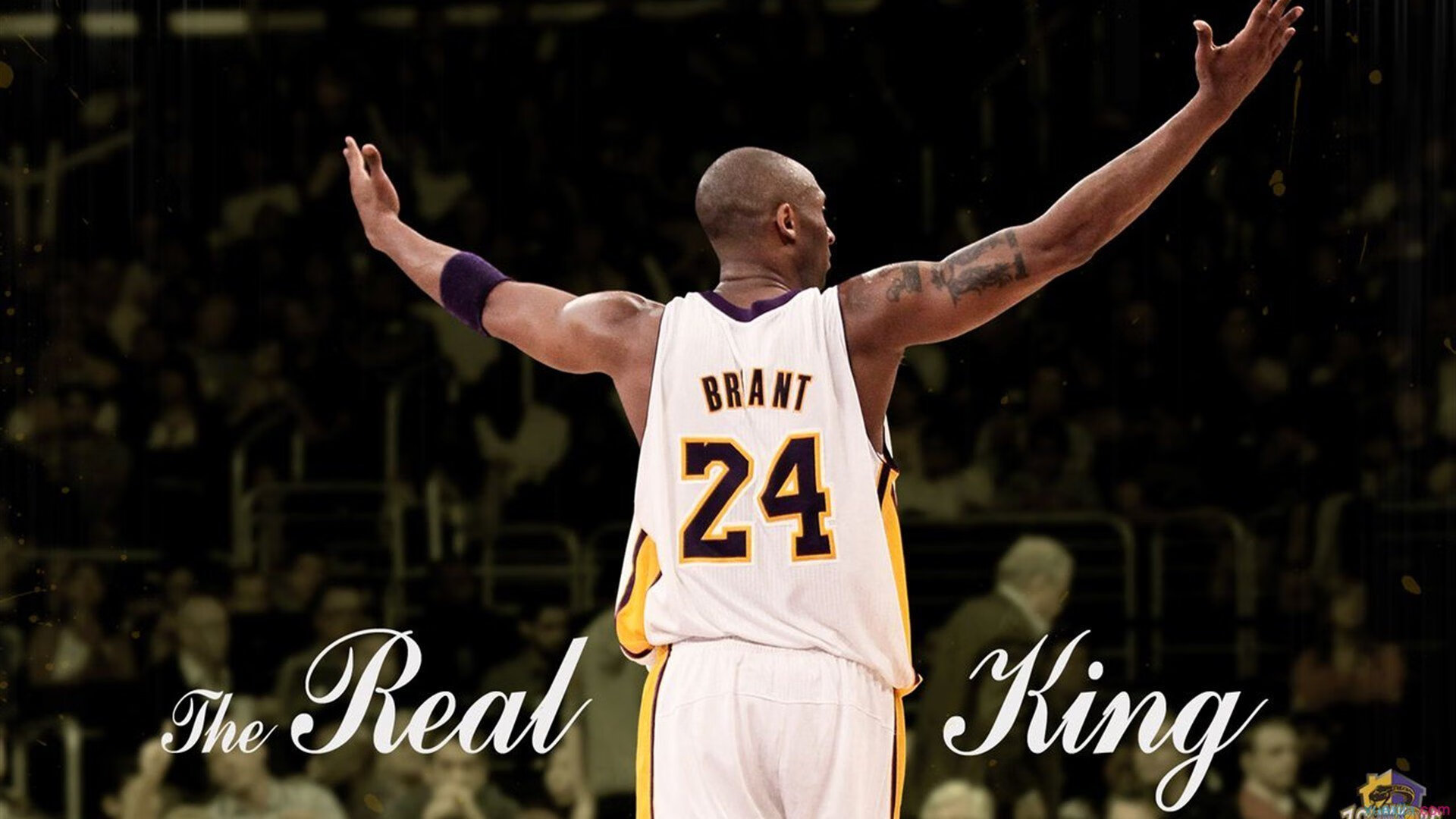 爱游戏体验-【天赋无限】水手队新秀持续惊艳联盟，水手组合2v5